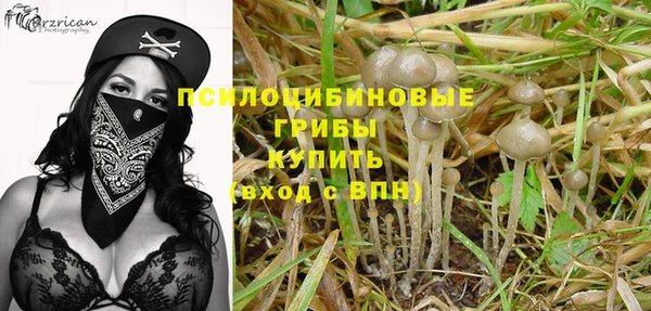 МДМА Белокуриха